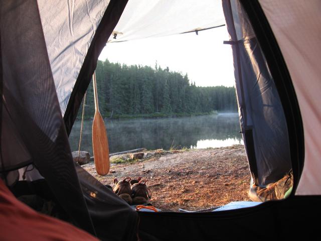 View from the Tent
